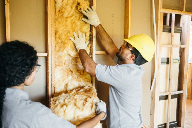 Best Insulation for New Construction  in Payson, IL